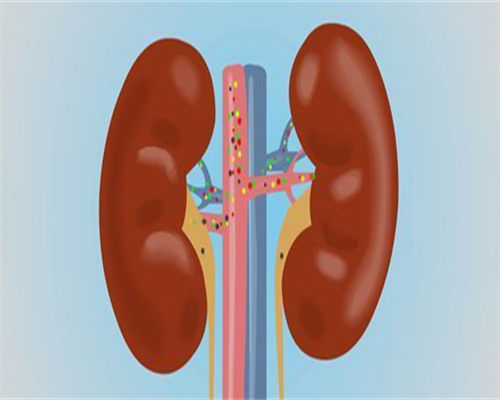 单角子宫会遗传嘛吗