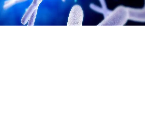 供卵机构助孕-潍坊试管婴儿多少钱明细表（不低于658元）