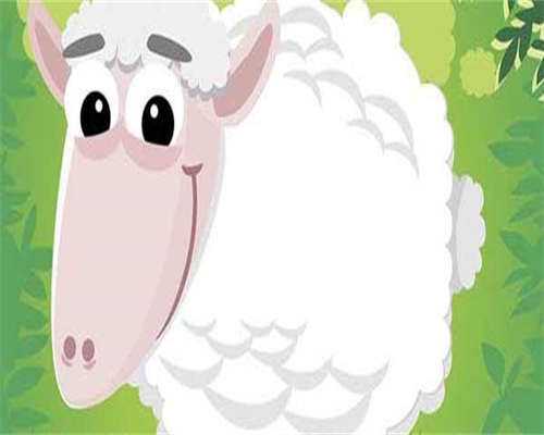 杭州试管婴儿费用大约多少钱？