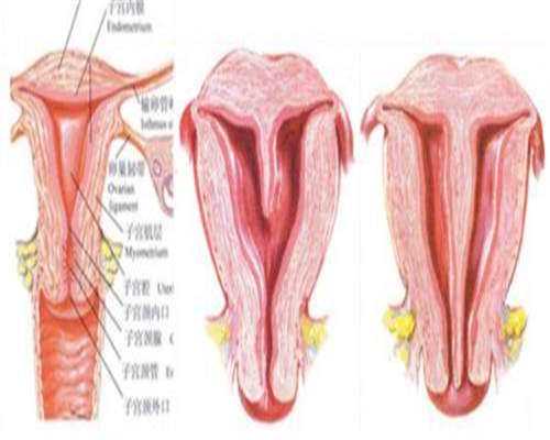 清宫对子宫的伤害大吗