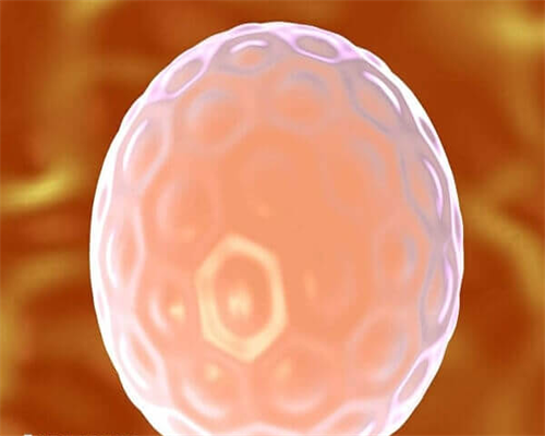 胚胎移植技术成熟吗试管手术为什么要使用胚胎移植