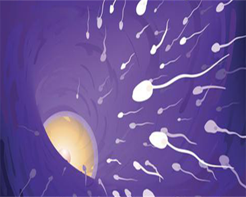 冻胚保存多久（冷冻胚胎可以保存多久）