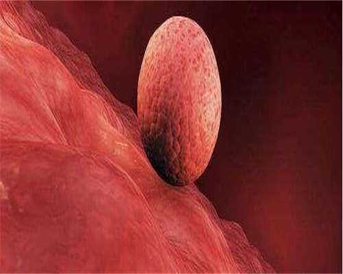 代生小孩费用-宫腔镜检查影响例假吗