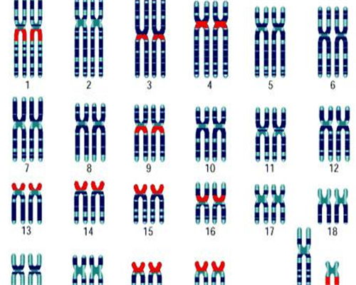 孕期检查宫高 孕期检查宫高的注意事项