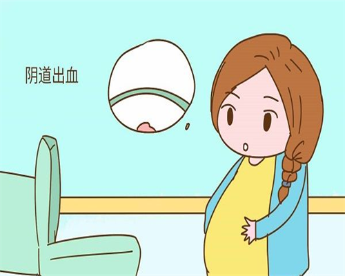 试管代生官网-山东试管三代选性别多少钱