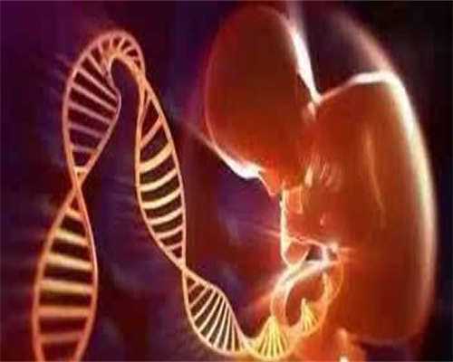 代生公司价格-什么是取卵手术?取卵手术的全过程