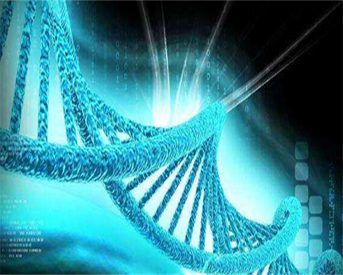 代孕供卵试管-40岁生二胎孕前准备有哪些