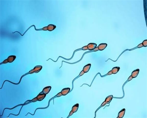 最佳代怀网-孕期做b超检查有囊肿怎么办？多少钱一天！