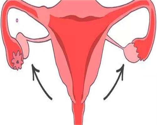 促进卵泡生长最快的方法