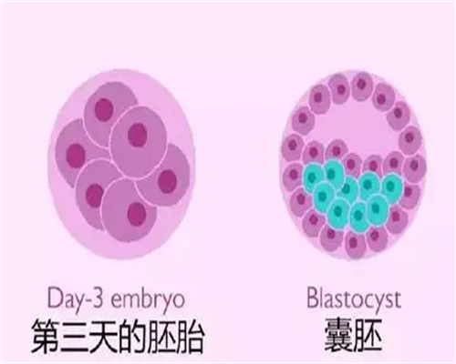 助孕供卵代生-备孕可以吃羊角蜜吗