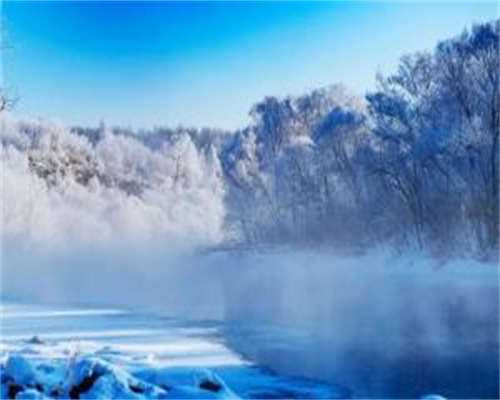 代怀孕价格-营养不良也会影响受孕几率，多补充这些营养对怀孕有帮助