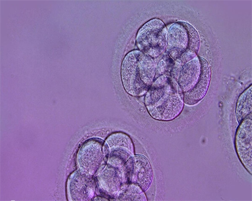 济南做三代试管选男孩需要多少钱?贵吗?