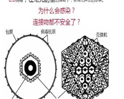 代孕供卵费用-试管婴儿助孕疗：孕期凝血检查是什么孕期什么时候查凝血？