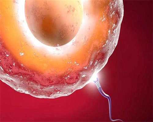 代孕供卵试管-40岁备孕二胎怎么调理