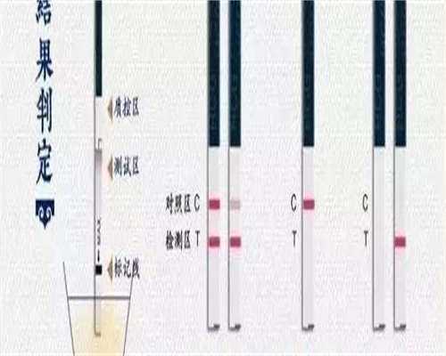 供卵包男孩-万艾可和金戈哪种比较安全