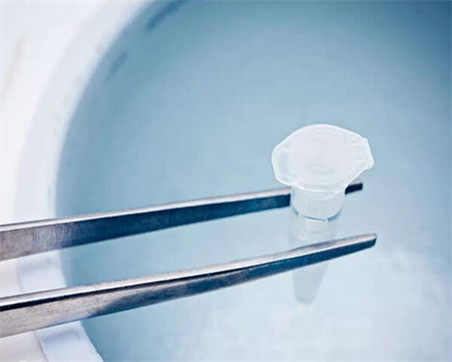 移植第七天测出一深一浅,移植囊胚第7天测出一深一浅是不是好结果?